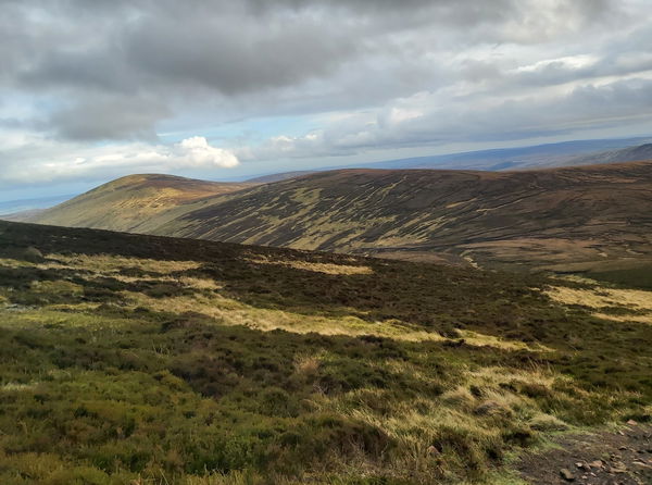 Comb Fell