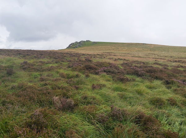 Great Moor East Top