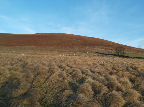 Lords Seat