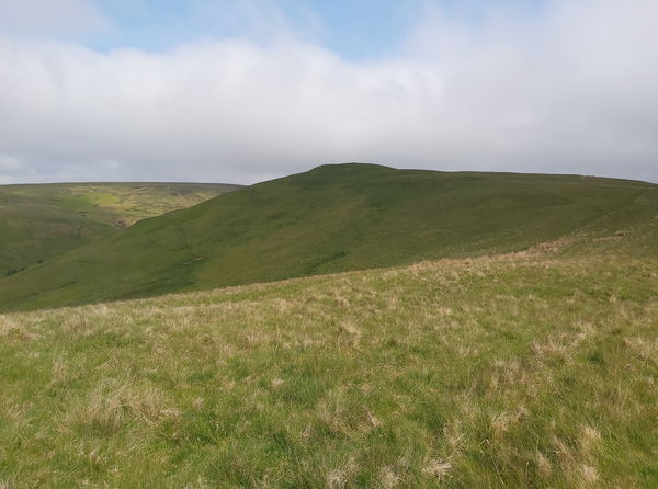 Swineside Law