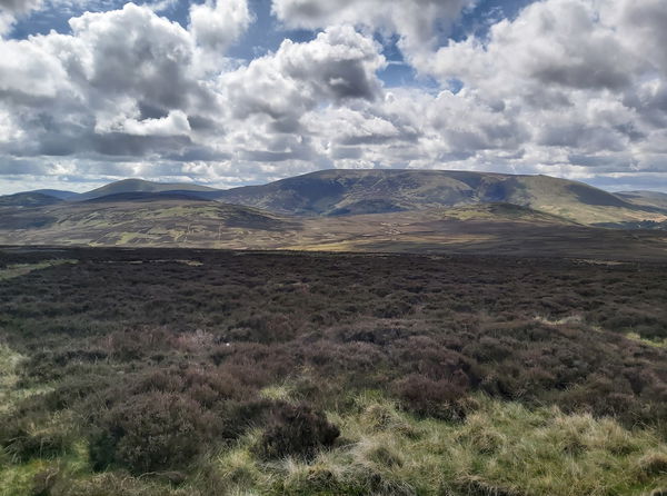 The Cheviot