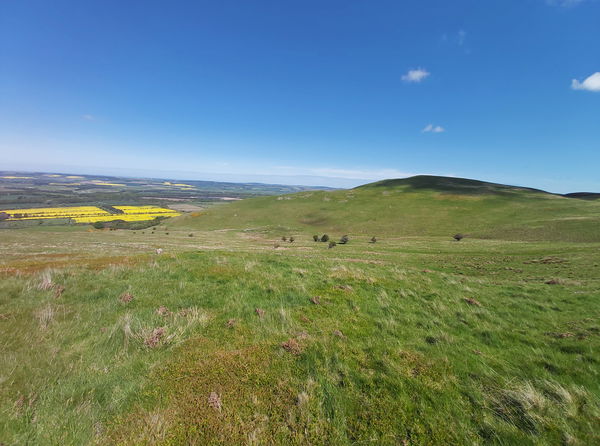 White Law Near Yeavering