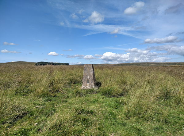 Carr Brow Moor Trig Point