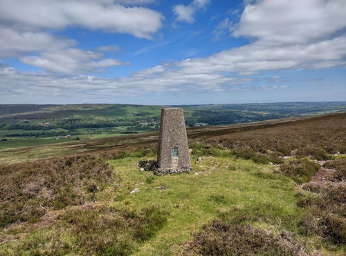 Catterick Moss Trig Point