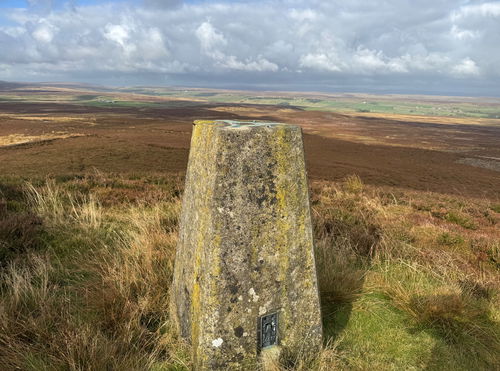 Citron Seat Trig Point