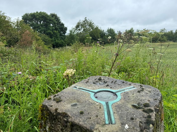 Coalway Plantation Trig Point