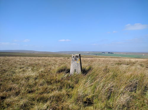 Collinsons Hill Trig Point