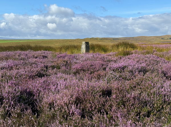 Currack Rigg Trig Point