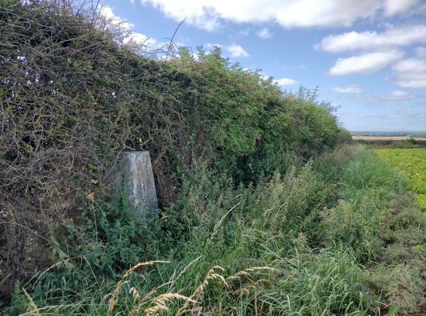 Denton Cross Roads Trig Point