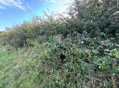 Etherley Lane Trig Point