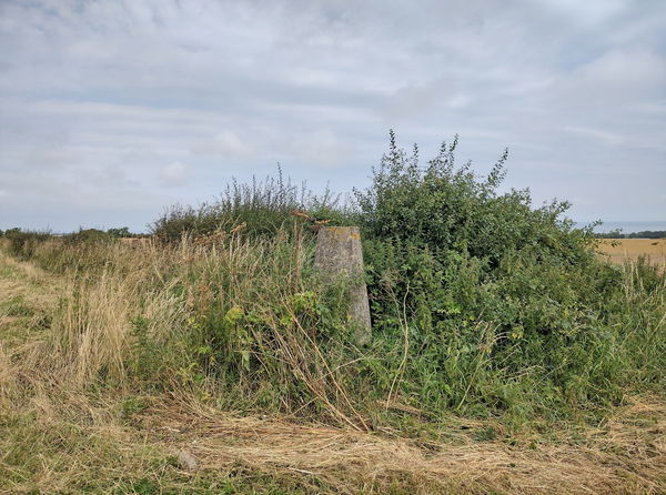 Hart Trig Point