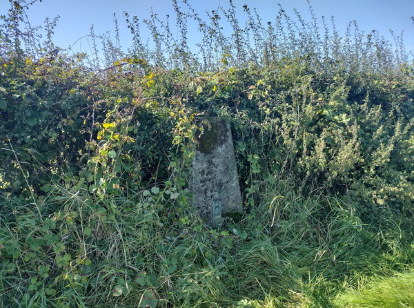 High Copelaw Farm Trig Point