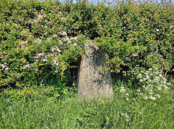 High House Trig Point