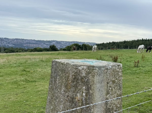 Hill Head Trig Point