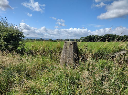 Keverstone Grange Trig Point