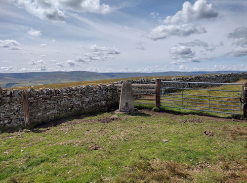 Lintzgarth Common Trig Point