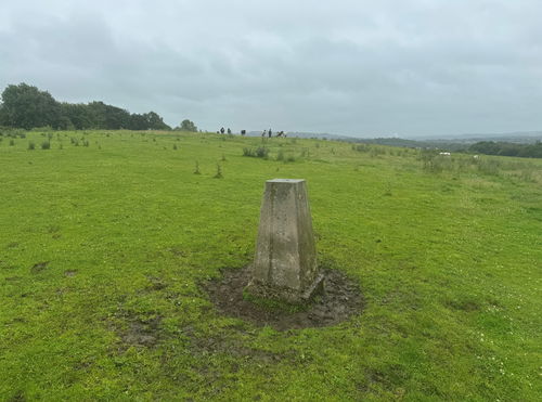 Maryside Hill Trig Point