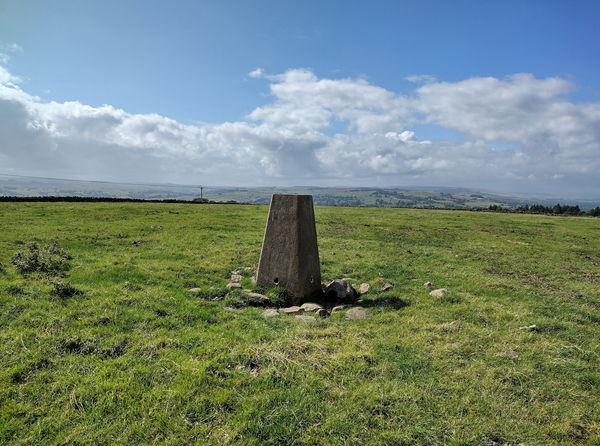 Moss Mire Trig Point