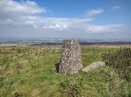 Newsham Moor Trig Point