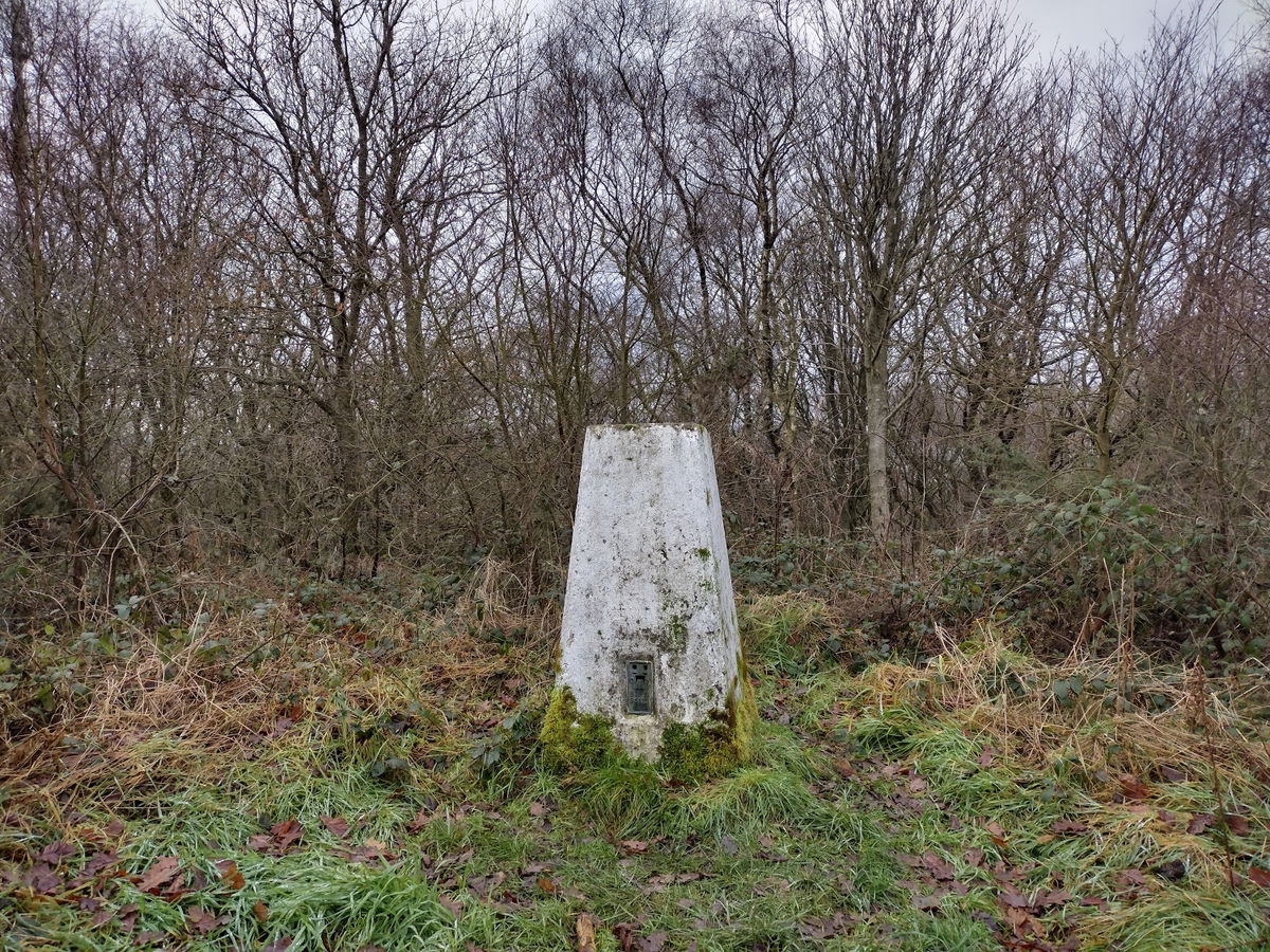 Pontop Pike Trig Point In Consett - County Durham Trig Points