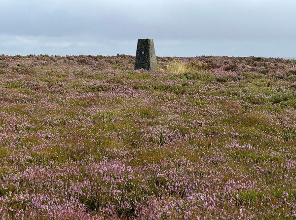 Raven Hills Trig Point