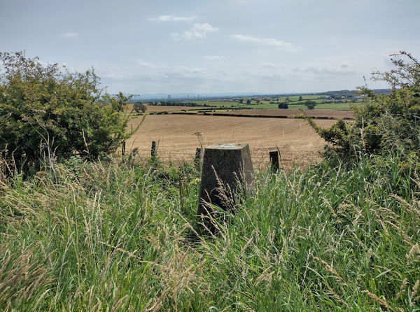 Red Lion Farm Trig Point