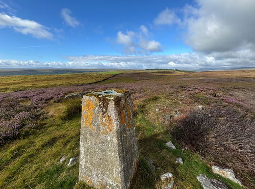 Romaldkirk Moor Trig Point