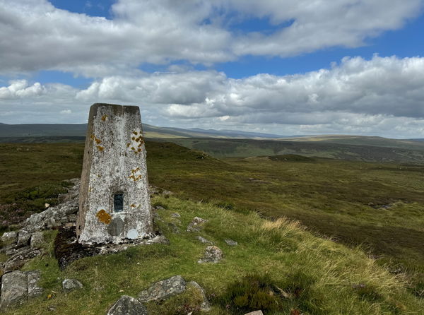 Thistle Green Trig Point