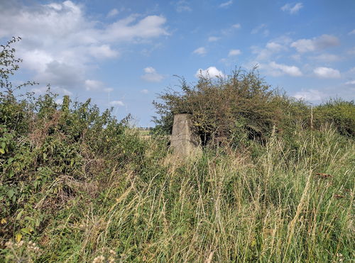 West House Field Trig Point