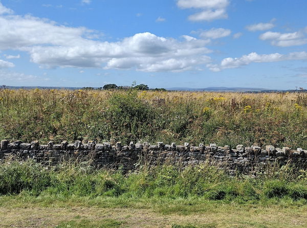 Whorley Resr Trig Point