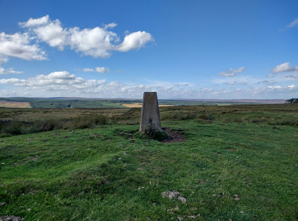 Woodland Trig Point