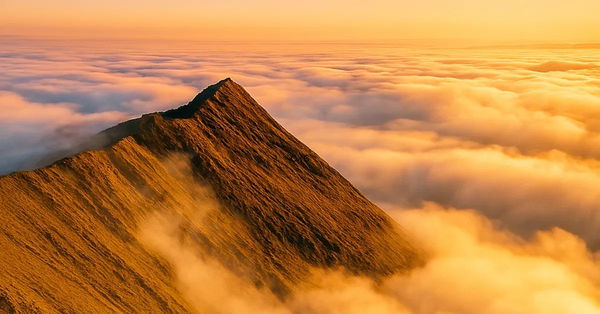 Wainwright Bagging Challenge