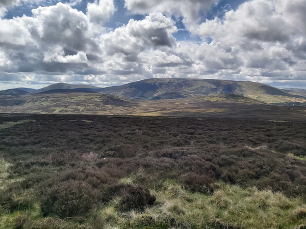 Cheviot 99 Challenge