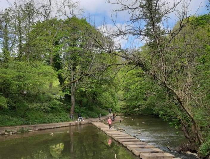 Humford Woods stepping stones in Bedlington - Fabulous North