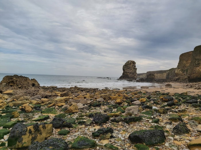Marsden Red Rocks Marsden Rock in South Shields - Fabulous North