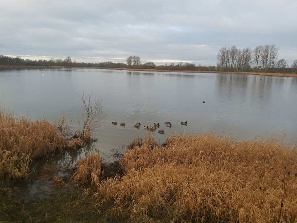 Big Waters Country Park in Cramlington - Fabulous North