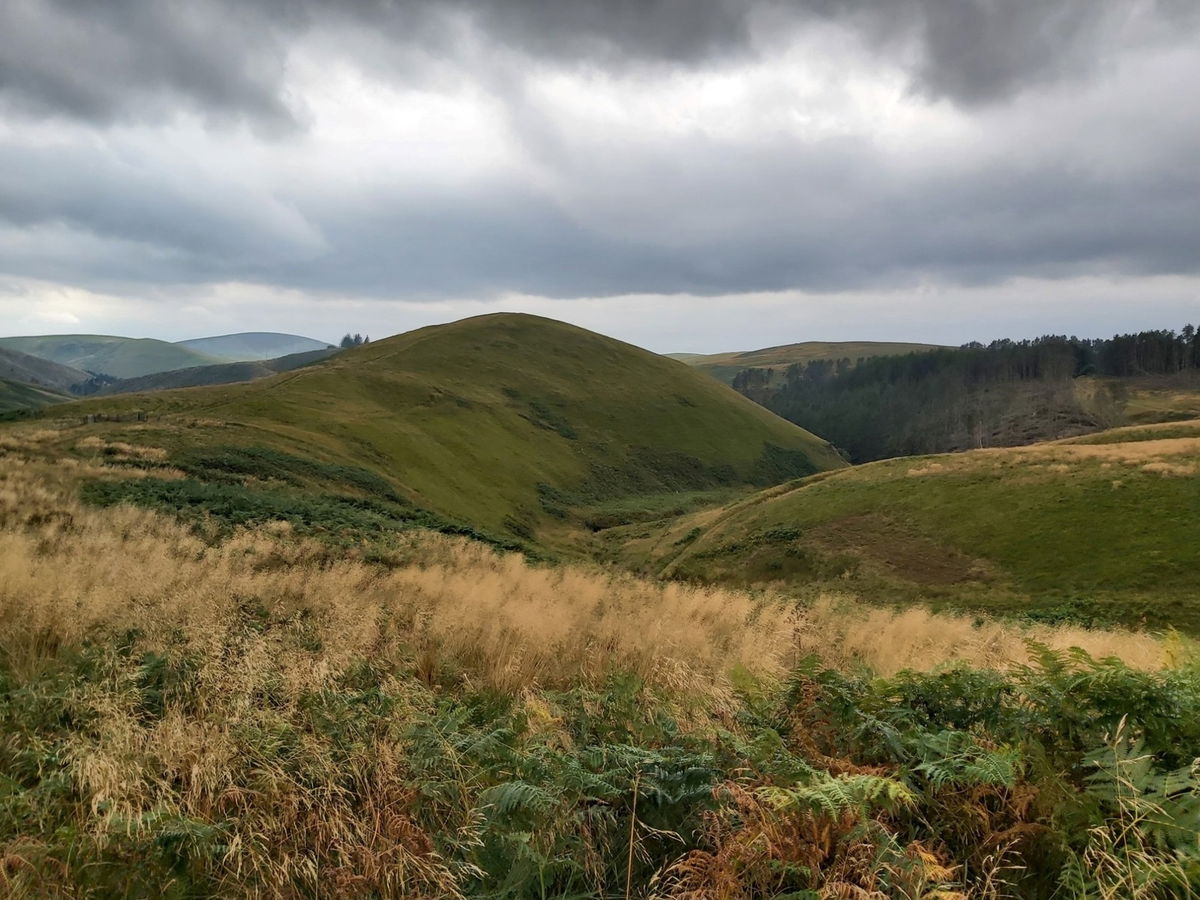 Windy Gyle - Wikipedia