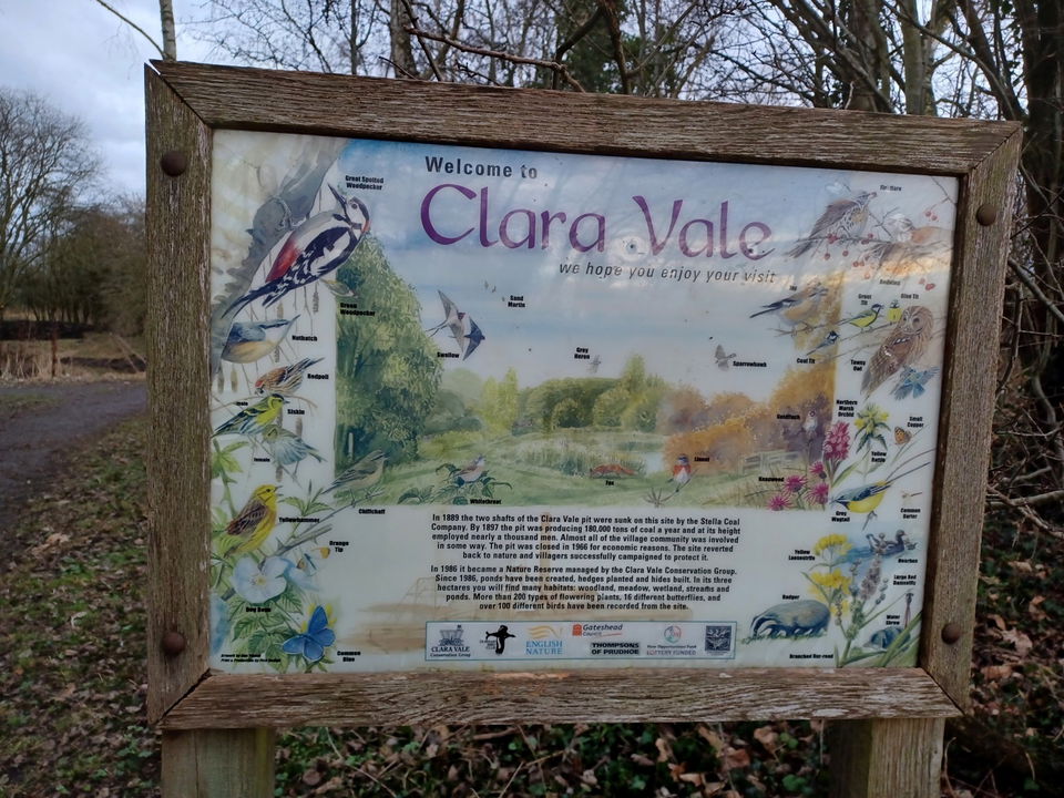 Clara Vale Nature Reserve In Gateshead Fabulous North