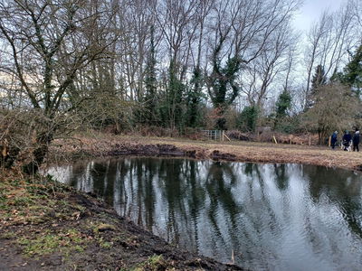 Clara Vale Nature Reserve In Gateshead - Fabulous North