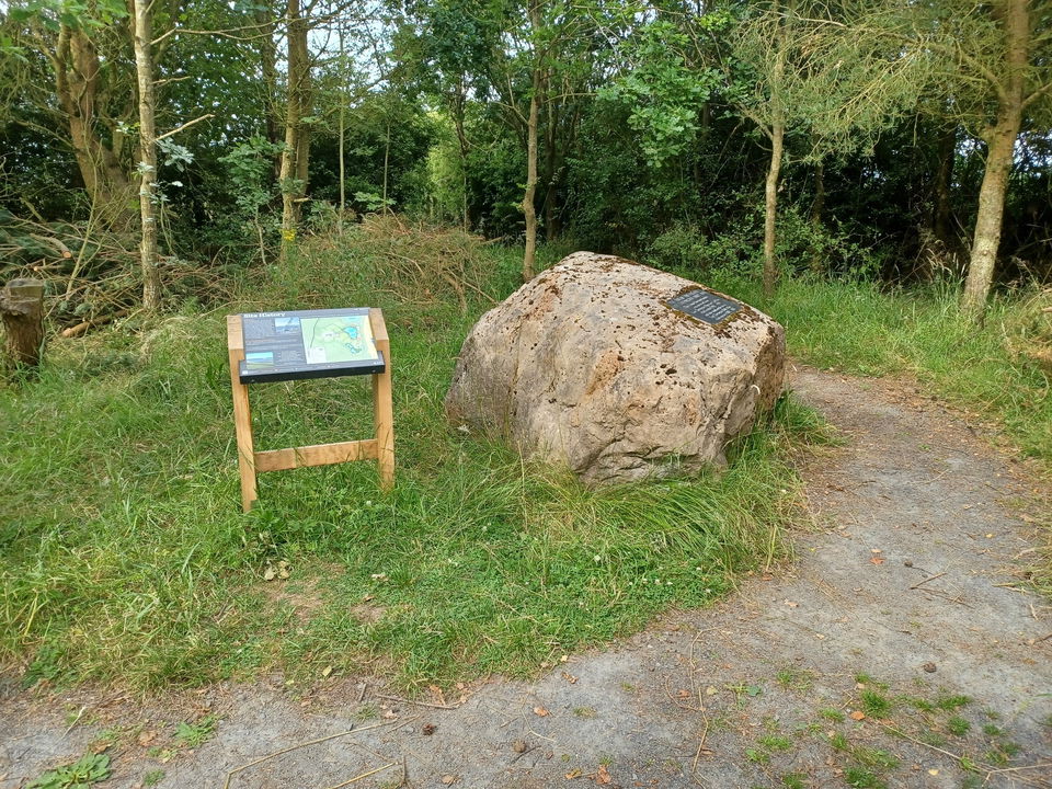 The Drift Stone In Druridge Bay - Fabulous North