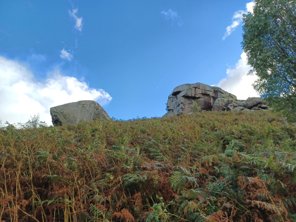 Cow Bug Rocks Cow and Calf Rocks In Ilkley Moor - Fabulous North