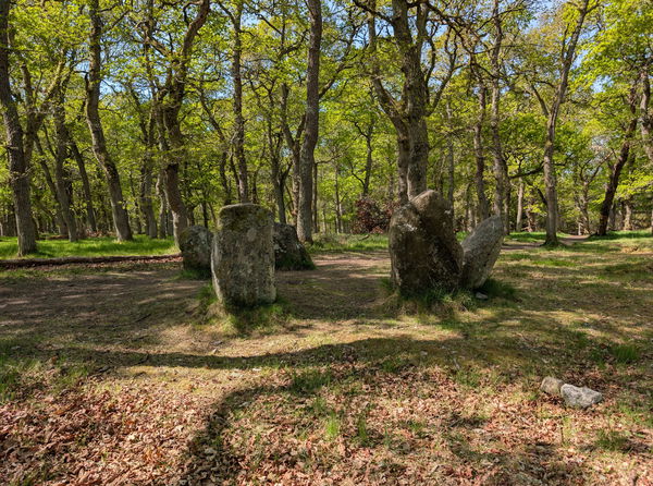 Aboyne Stone Circle