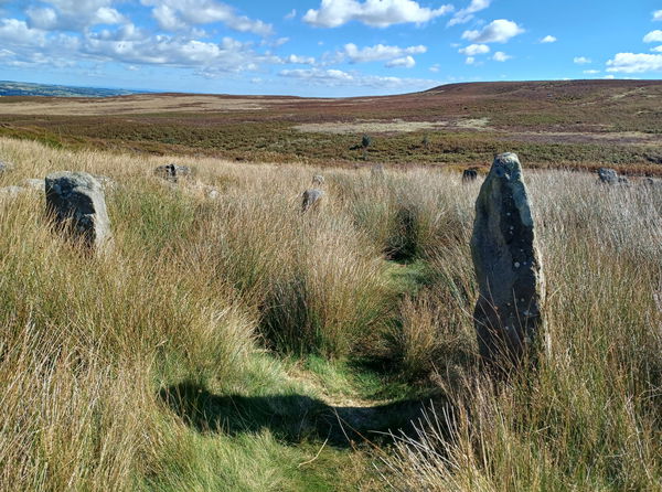 Backstone Circle