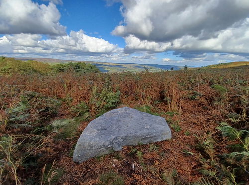 Barmishaw Stone