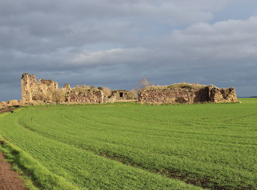 Barnes Castle