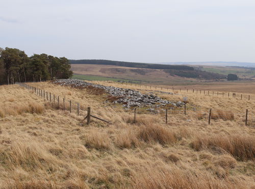 Bellshiel Law Long Cairn
