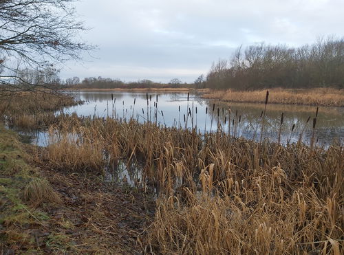 Big Waters Country Park