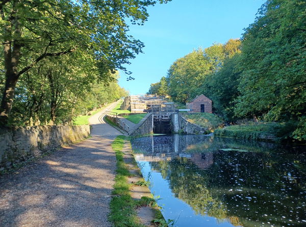 Bingley Five Rise Locks