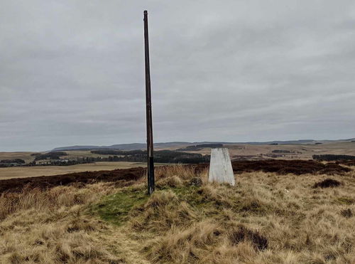 Blakeman's Law Trig Point