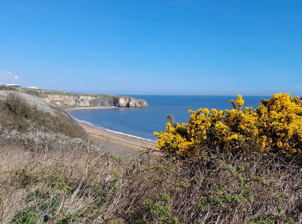 Blast Beach at Nose's Point Seaham